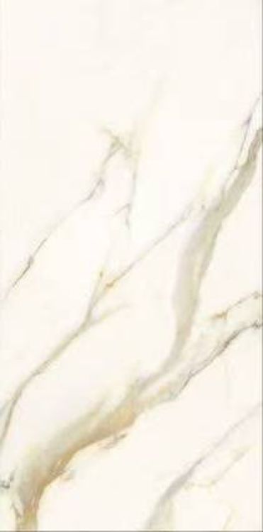 Time Dorado Matte 12 x 24